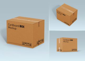 Free Cardboard Shipping Box Mockup PSD