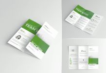 Free US Letter Size Tri-Fold Brochure Mockup PSD Set