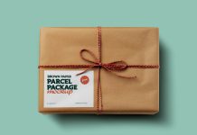Free Brown Paper Parcel Package Mockup PSD