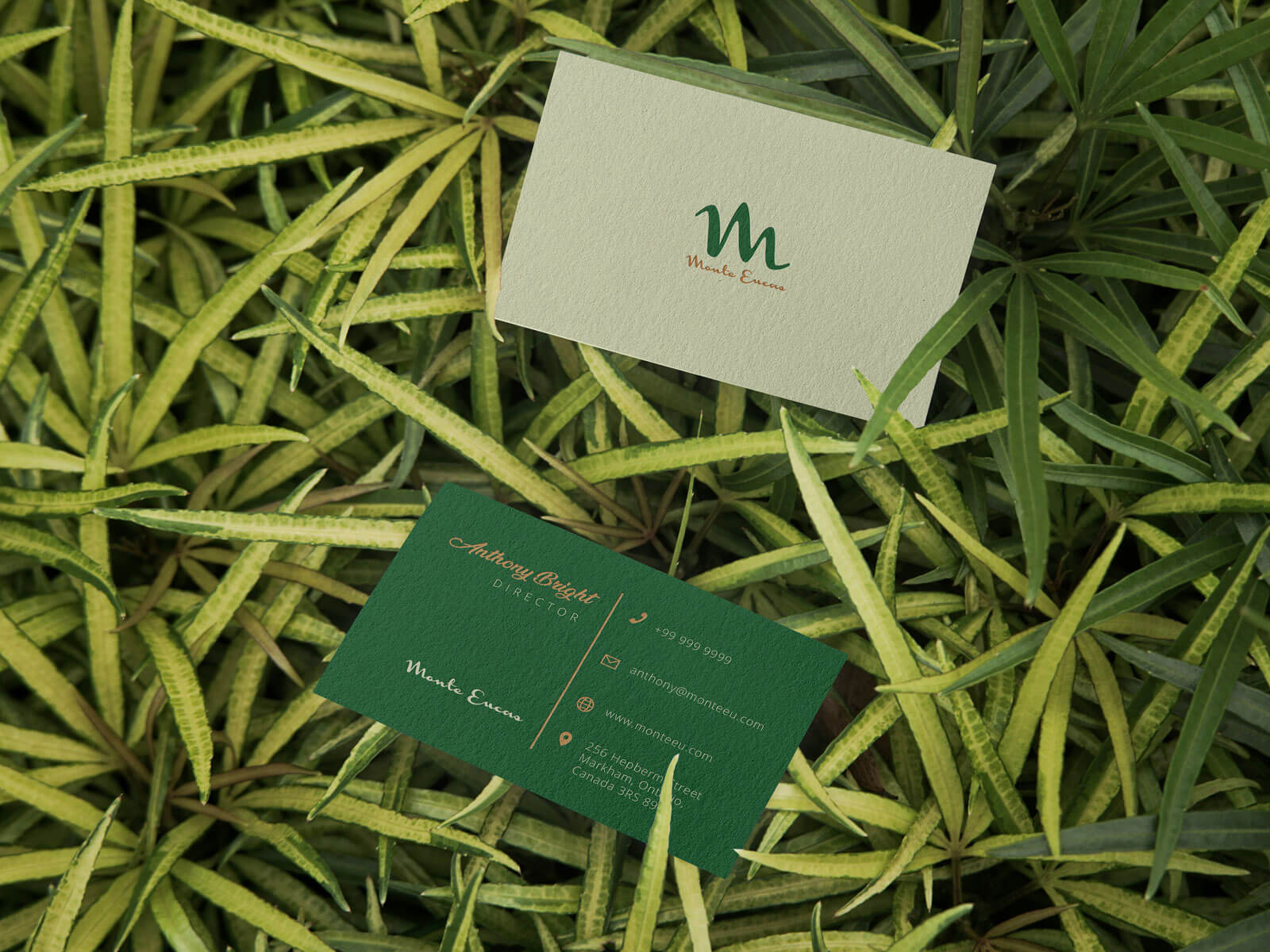  Free With Leaves Business Card Mockup PSD