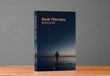 Free Standing Book Cover Mockup PSD