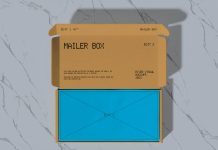 Free Top View Opened Mailer Box Mockup PSD