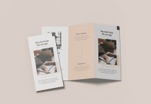 free-A4-Trifold-Brochure-Mockup-PSD