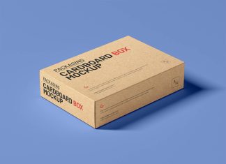 Free Mailer Cardboard Box Mockup PSD