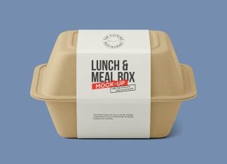 Free Meal / Lunch Box Mockup PSD
