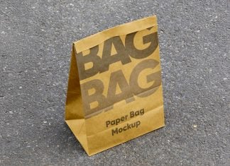 Free Disposable Takeaway Paper Bag Mockup PSD