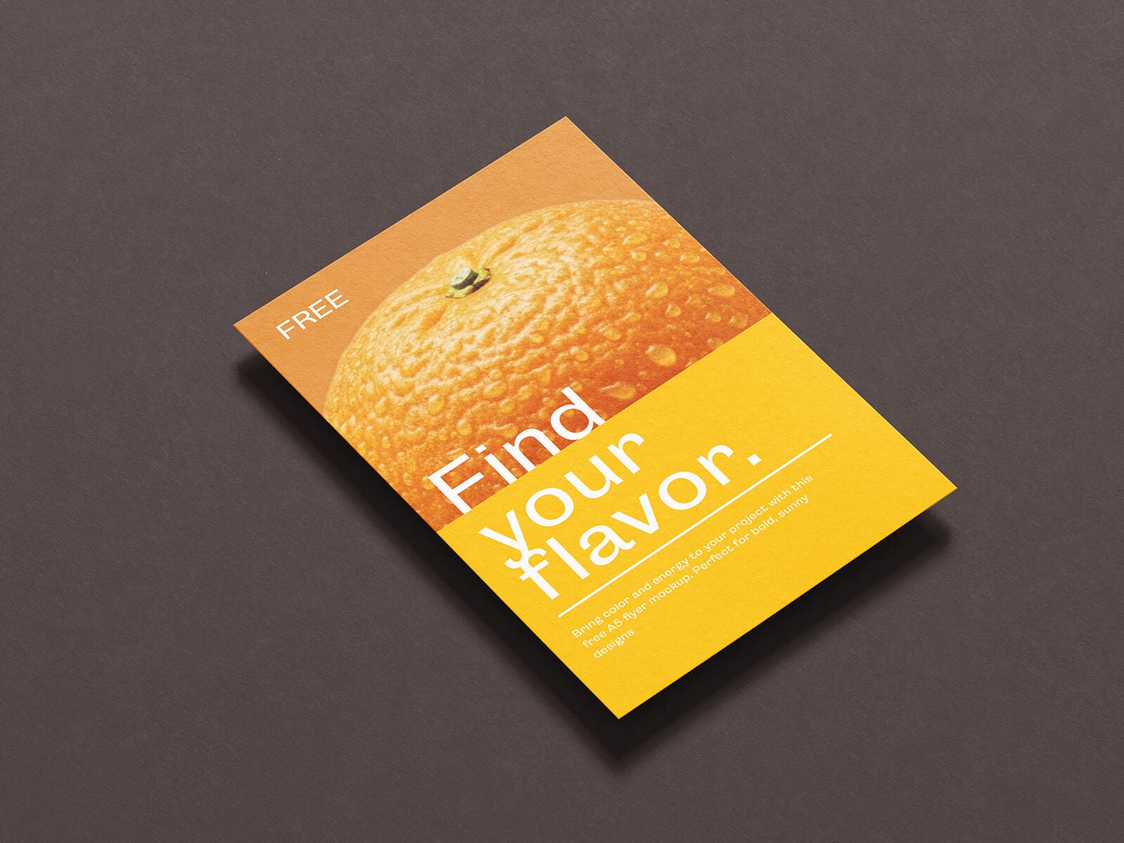 Free Clean A4 : A5 Flyer Mockup PSD
