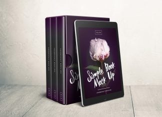 Free 6 x 9 Box Set with Ereader Template Mockup PSD