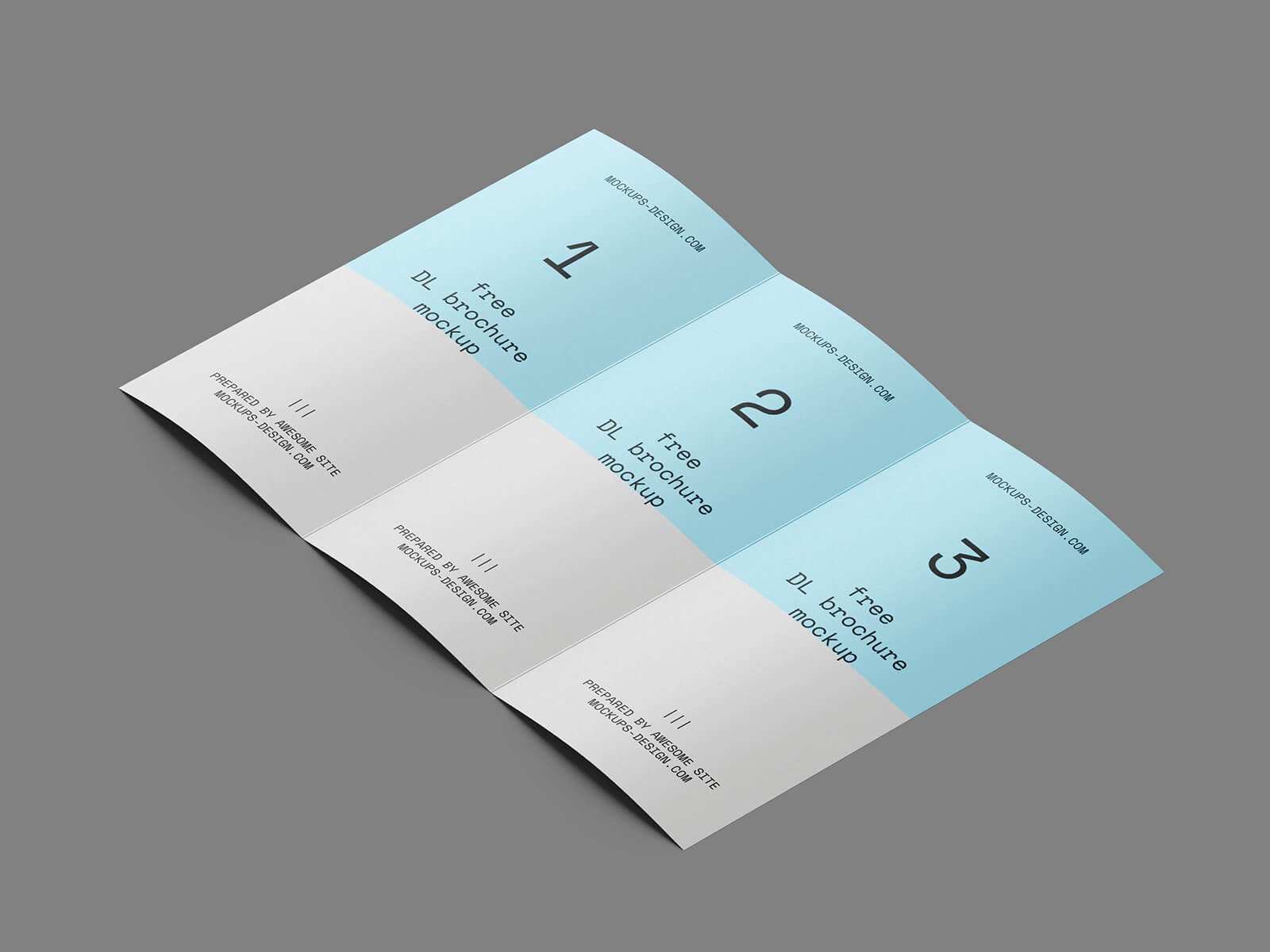 Free Prespective Tri-Fold Brochure Mockup PSD