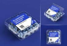 Free Blueberries Plastic Container Mockup PSD