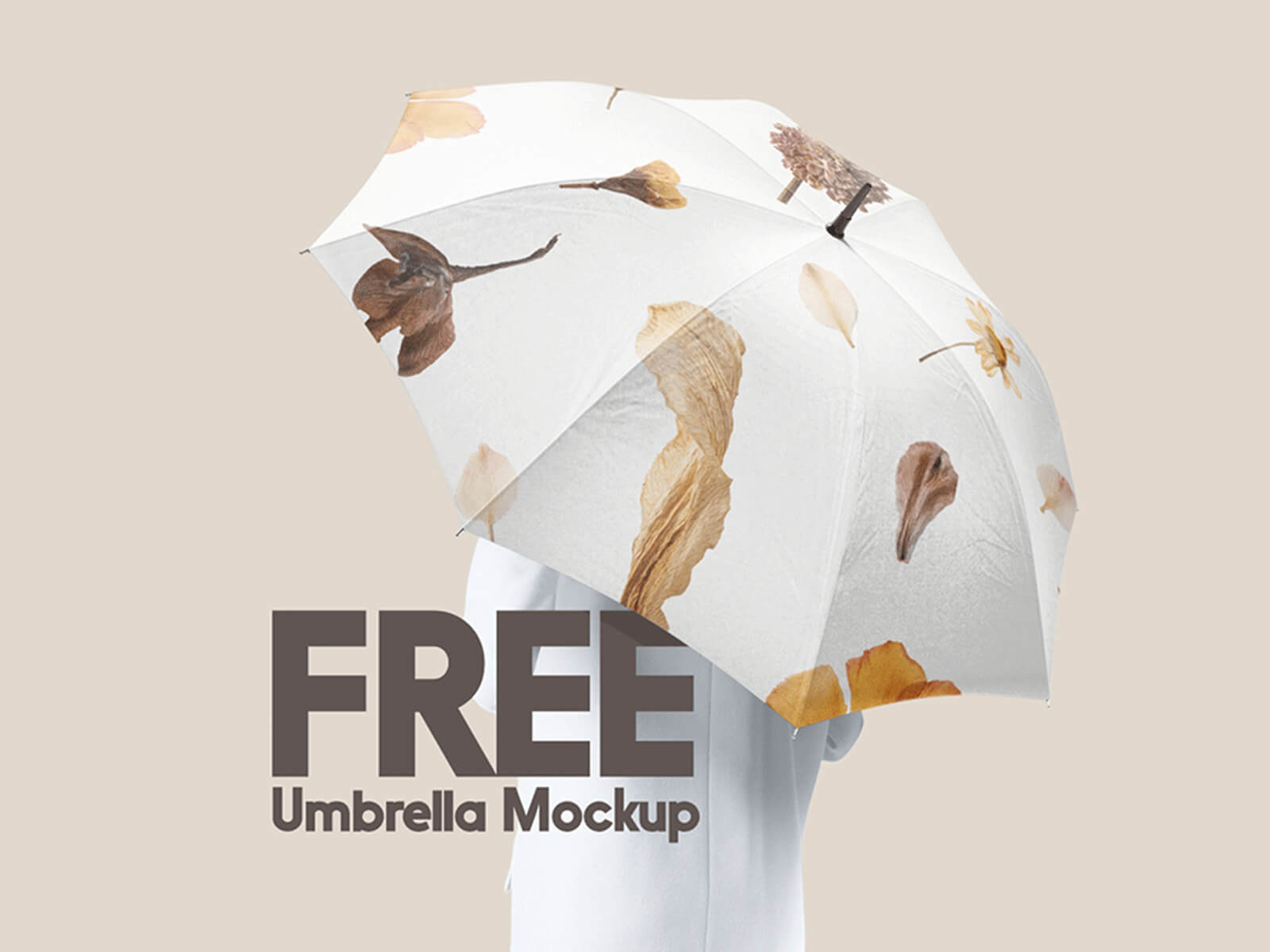 Free Model Holding Umbrella Mockup PSD