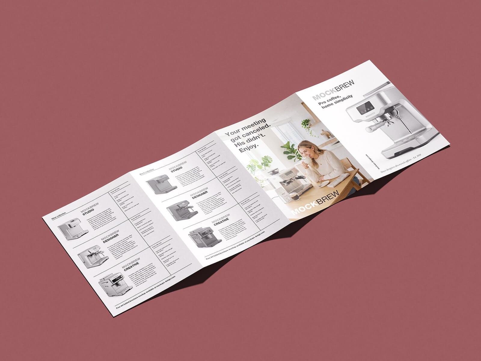 4-Panel Accordion Fold Sales Brochure Mockup