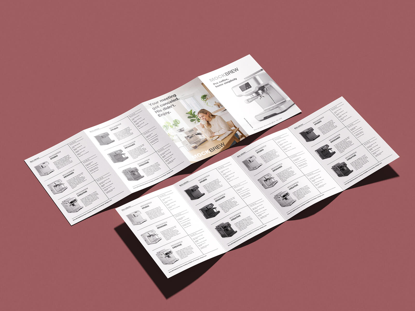 4-Panel Accordion Fold Sales Brochure Mockup