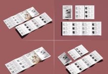 4-Panel Accordion Fold Sales Brochure Mockup