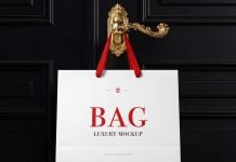 Free Luxury Paper Shopping Bag Mockup PSD