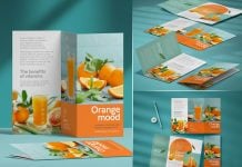 3 Free Tri-Fold Brochure Mockup Scene Files Set
