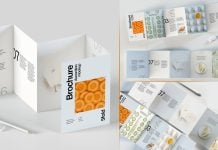 3 Free Premium 5-Fold Accordion Brochure Mockup PSD Files