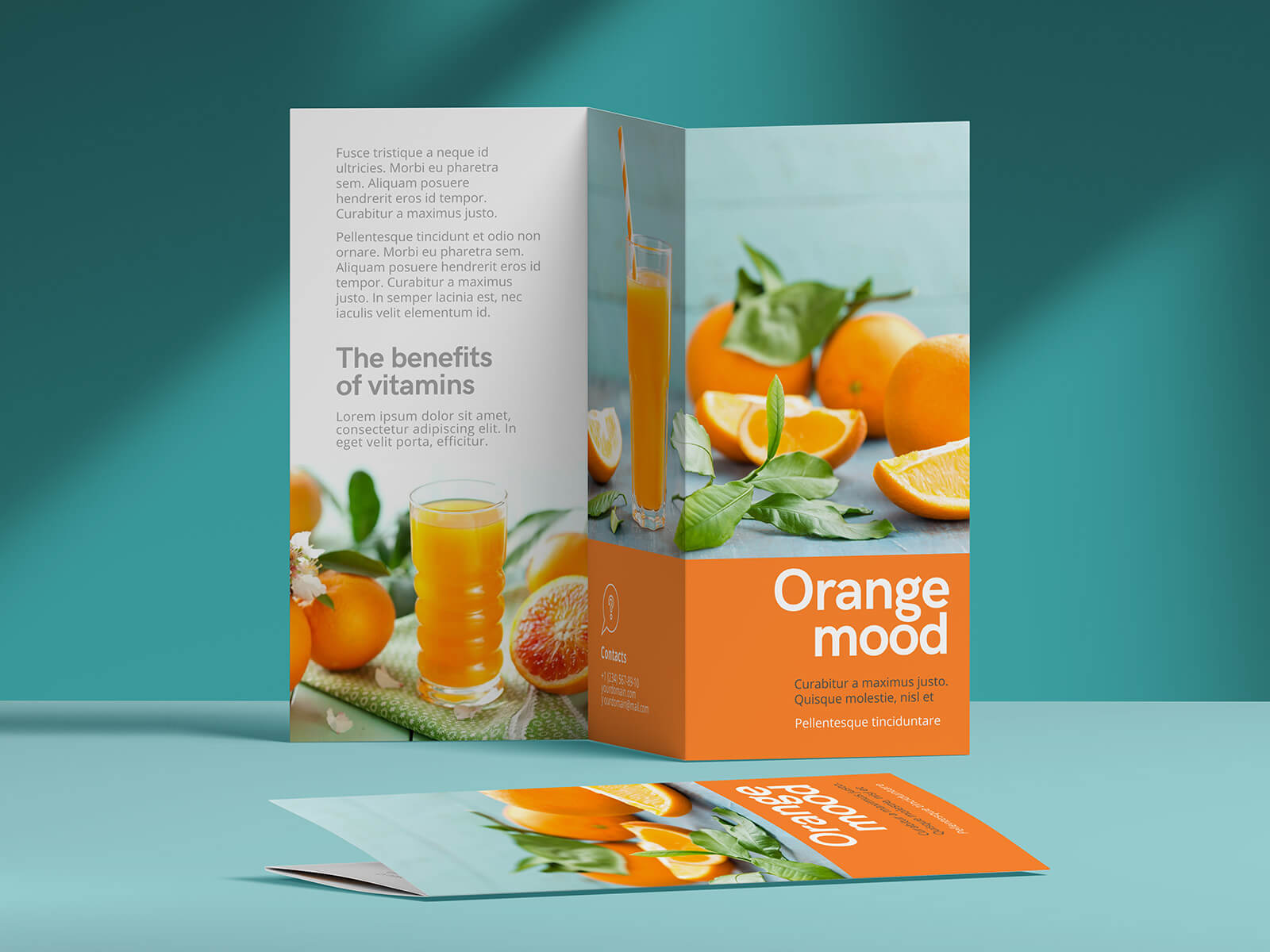 3 Free Tri-Fold Brochure Mockup Scene Files Set
