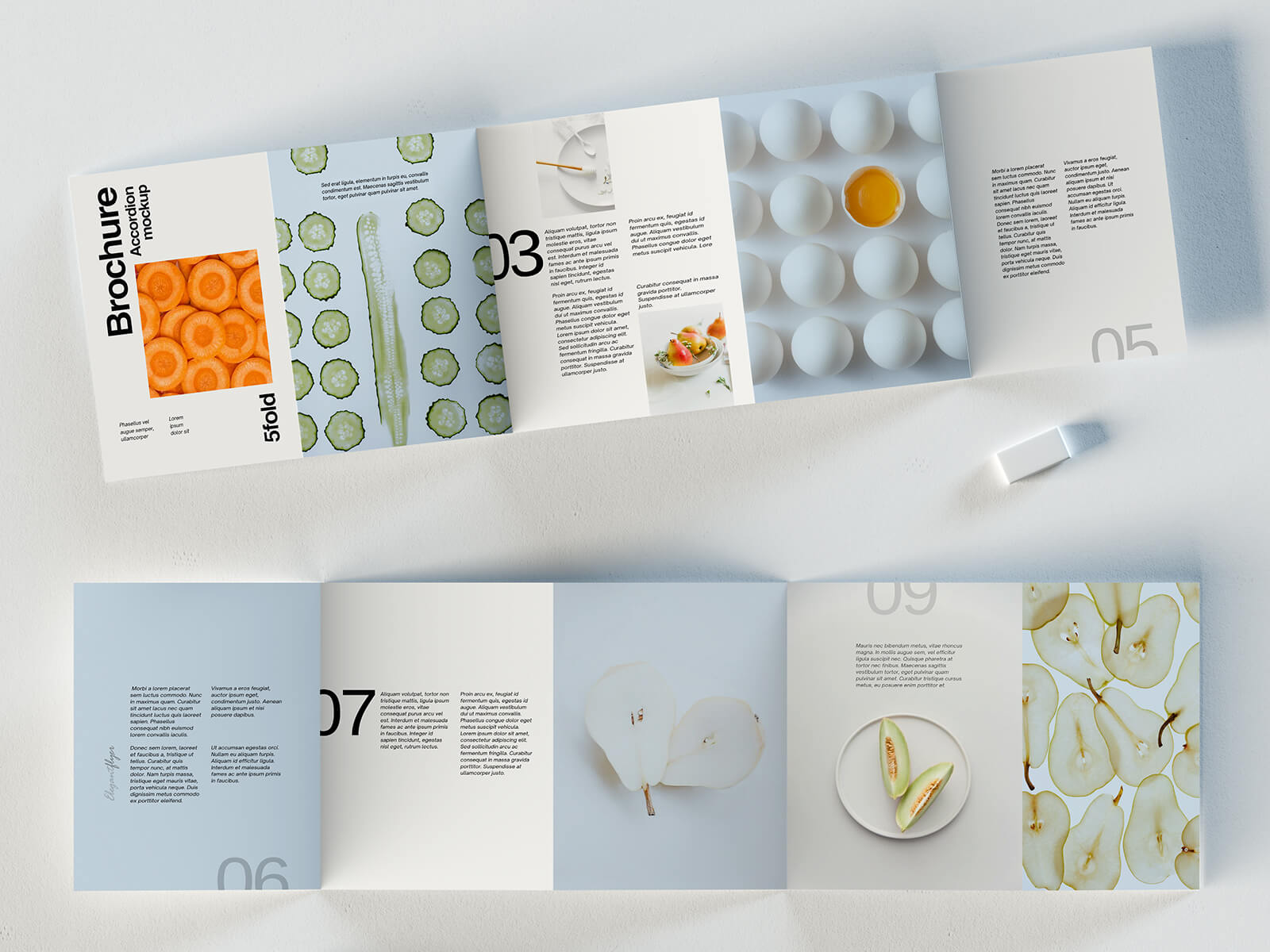 3 Free Premium 5-Fold Accordion Brochure Mockup PSD Files