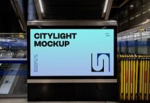 Free Horizontal Indoor Citylight Mockup PSD.jpg