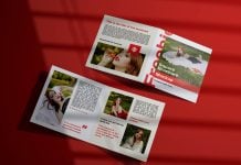 Free Premium Square Bi-Fold Brochure Mockup PSD