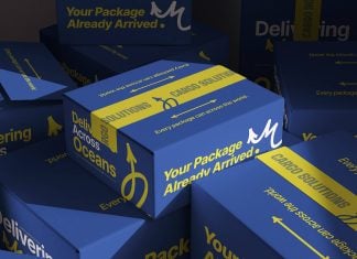 Free Premium Mailer Package Delivery Box Mockup PSD