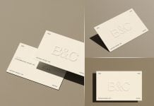 Free Earthy Visiting Card Mockup PSD Set