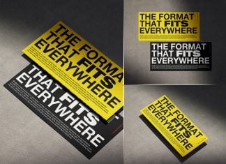 3 Free DL Horizontal Flyer Mockup PSD