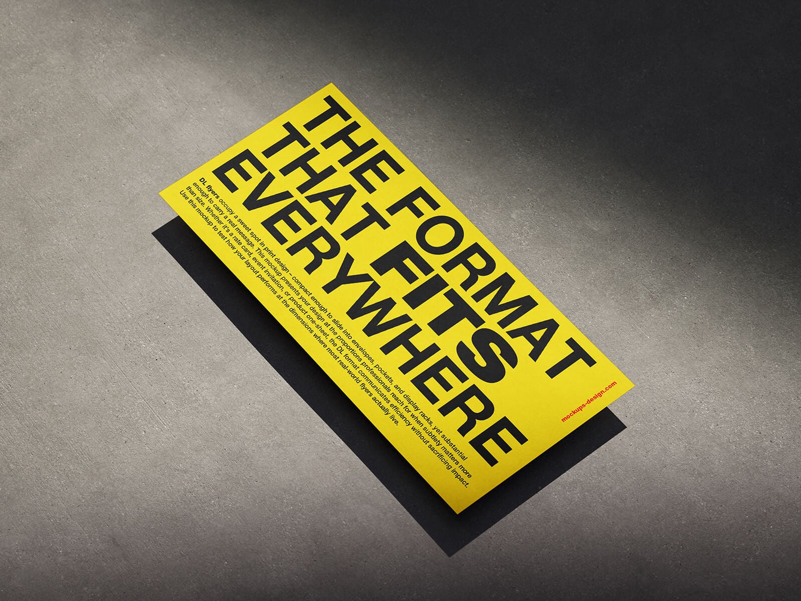 3 Free DL Horizontal Flyer Mockup PSD