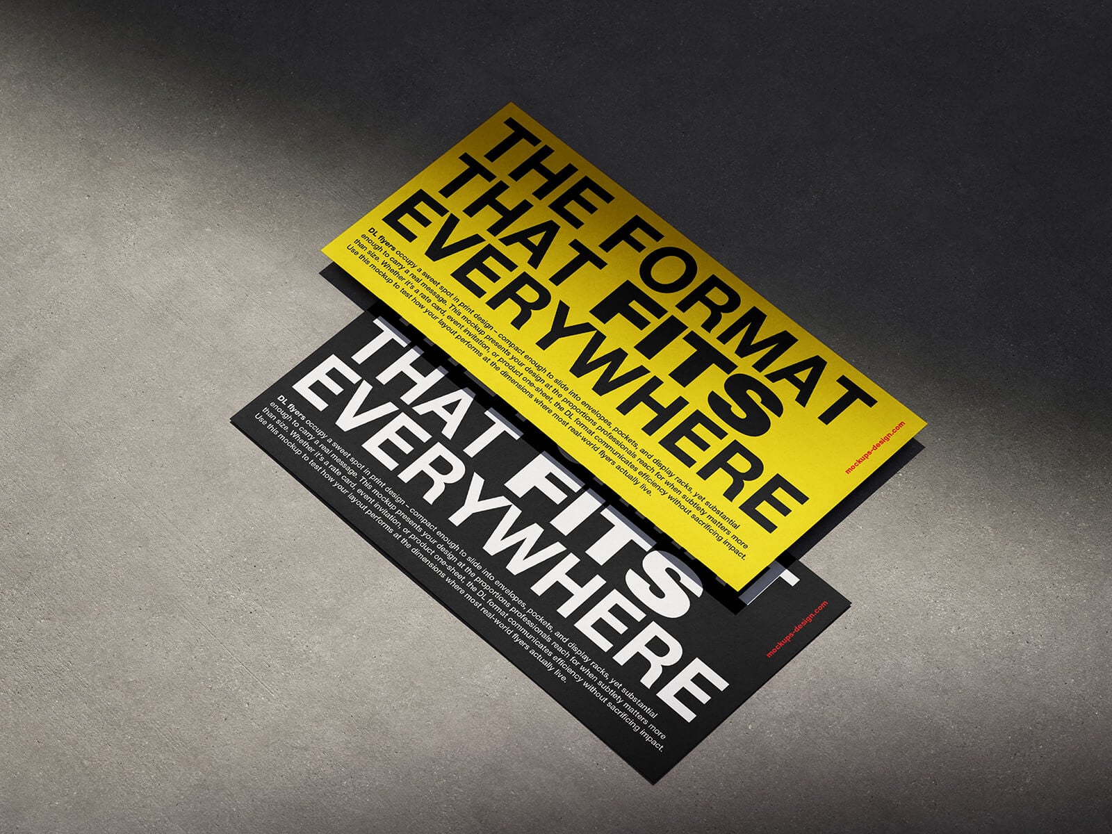 3 Free DL Horizontal Flyer Mockup PSD