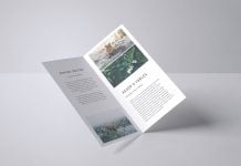 Free DL Bifold Brochure Mockup PSD