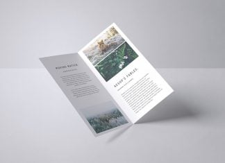 Free DL Bifold Brochure Mockup PSD