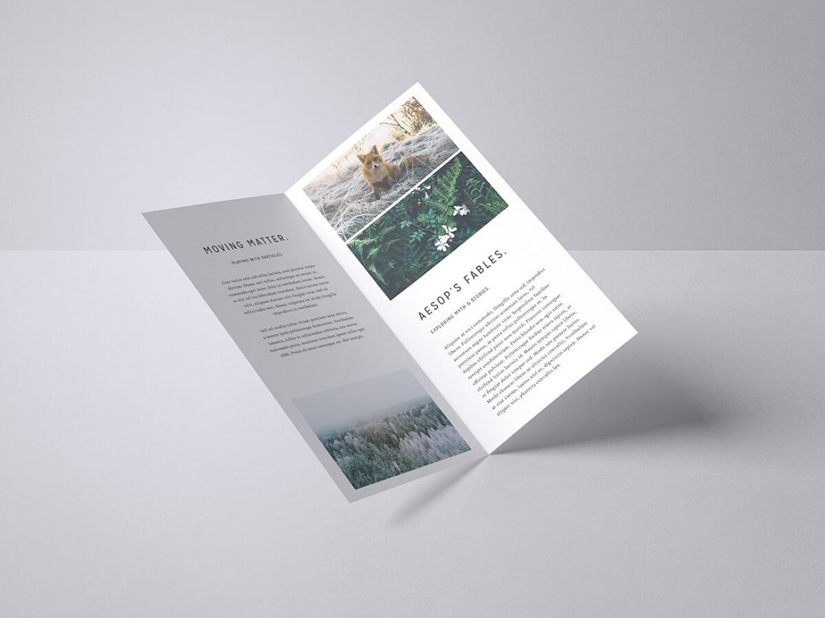 Free DL Bifold Brochure Mockup PSD