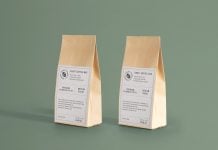 Free Dual Standing Kraft Paper Standing Bag Mockup PSD