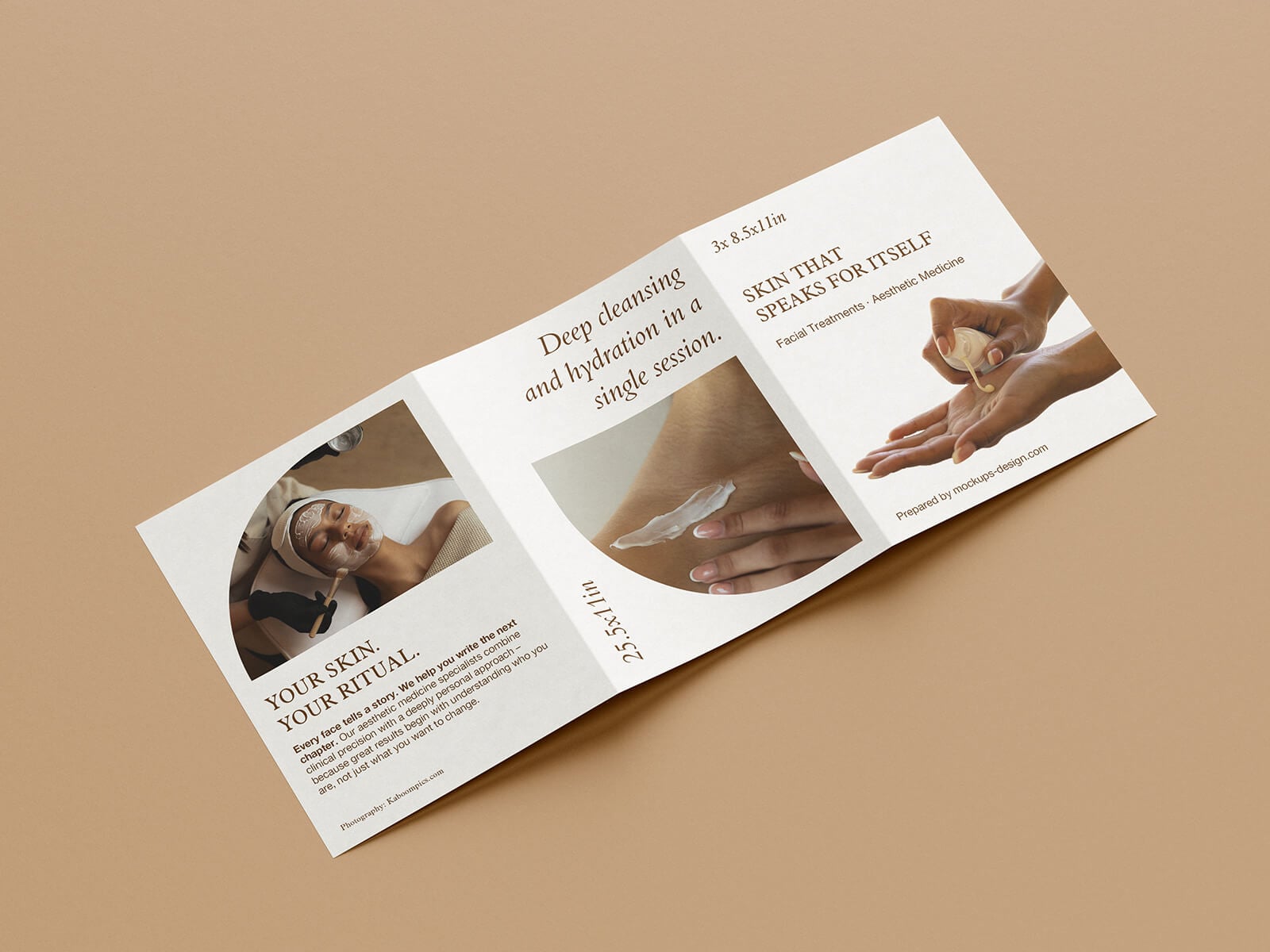 5 Free US Letter Tri-Fold Brochure Mockup PSD File